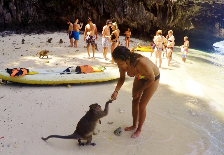 Feeding the monkeys at Monkey Island